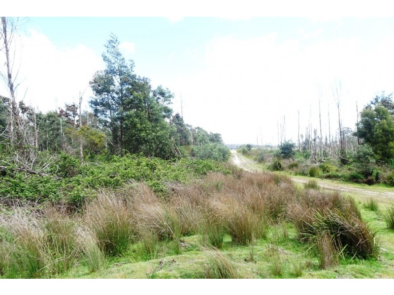 239 Auburn Road, Beaconsfield TAS 7270