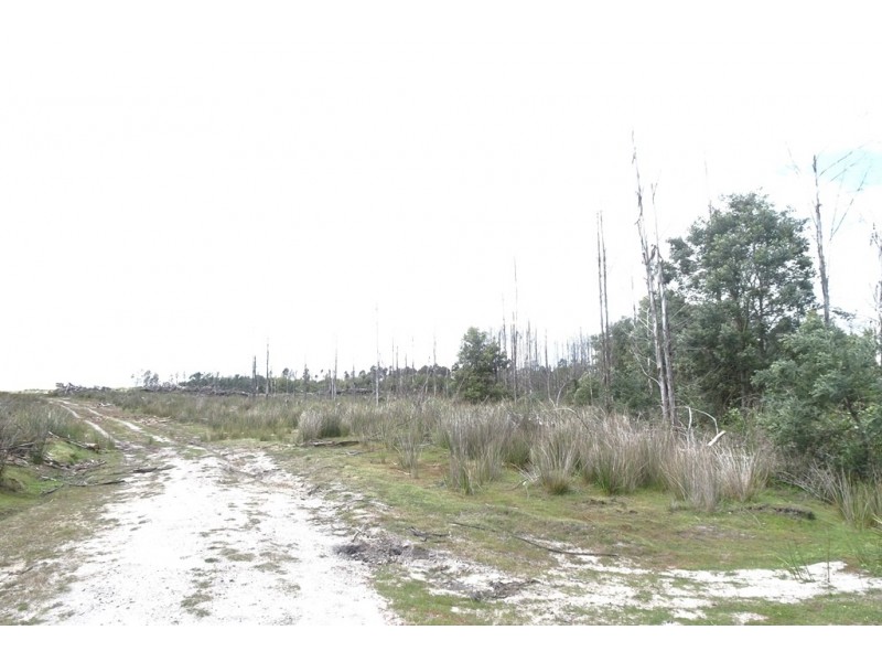 239 Auburn Road, Beaconsfield TAS 7270