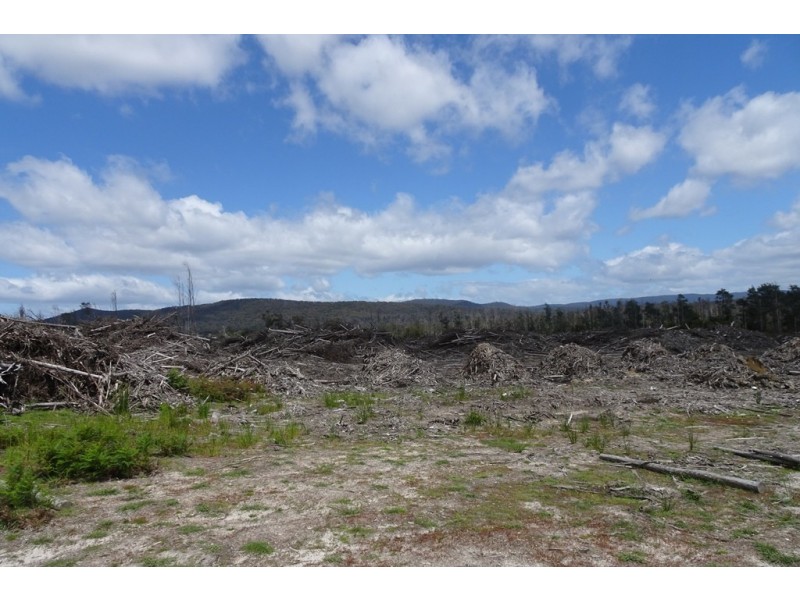 239 Auburn Road, Beaconsfield TAS 7270