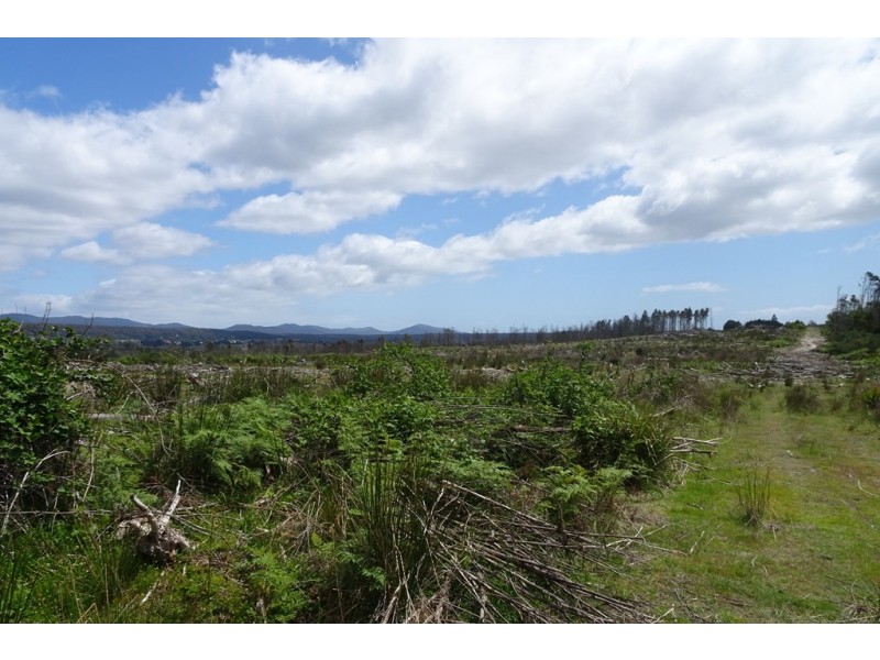 239 Auburn Road, Beaconsfield TAS 7270