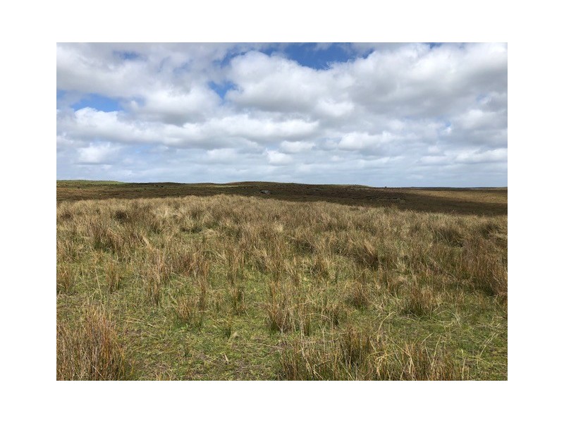 . Pearsons Lane, Pearshape TAS 7256