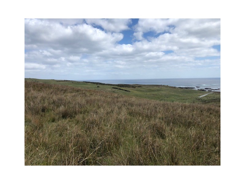 . Pearsons Lane, Pearshape TAS 7256