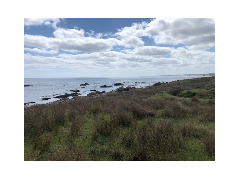 . Pearsons Lane, Pearshape TAS 7256