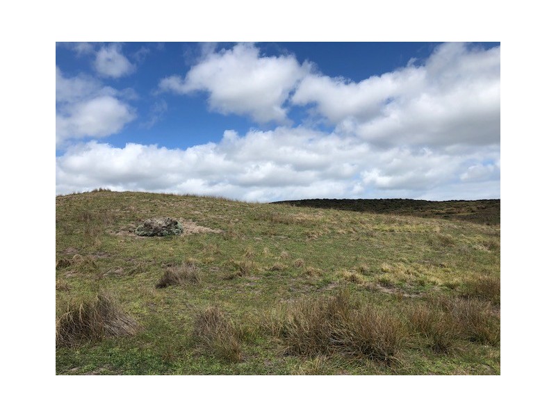 . Pearsons Lane, Pearshape TAS 7256