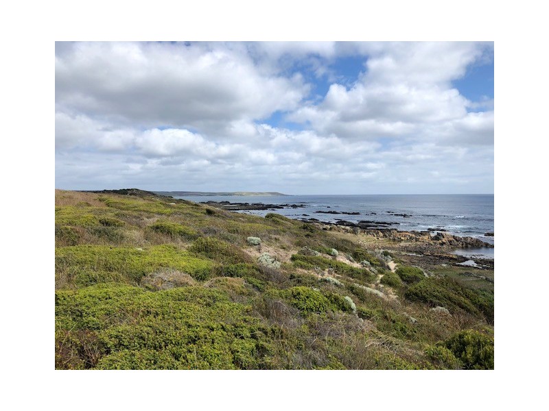 . Pearsons Lane, Pearshape TAS 7256