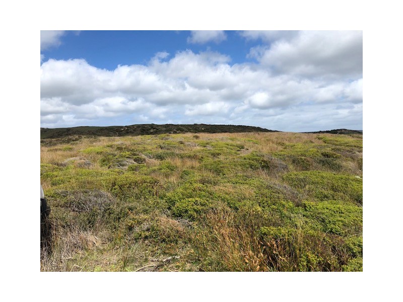 . Pearsons Lane, Pearshape TAS 7256