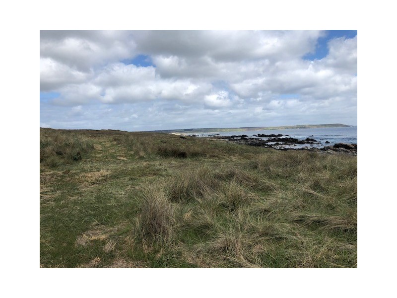 . Pearsons Lane, Pearshape TAS 7256