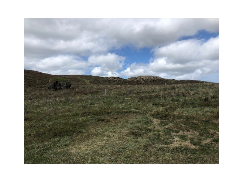 . Pearsons Lane, Pearshape TAS 7256