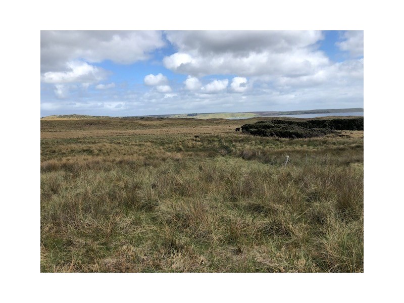 . Pearsons Lane, Pearshape TAS 7256