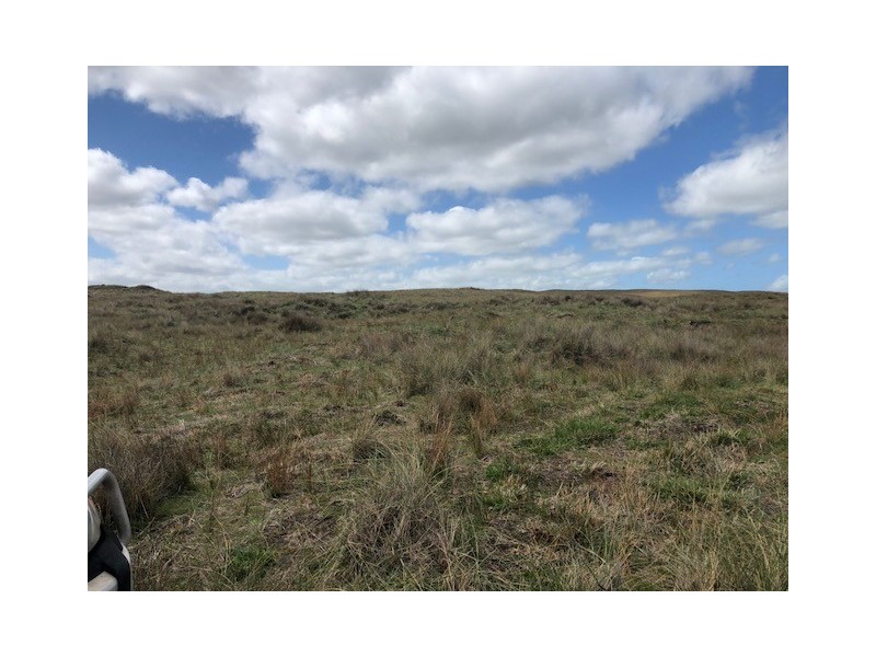 . Pearsons Lane, Pearshape TAS 7256