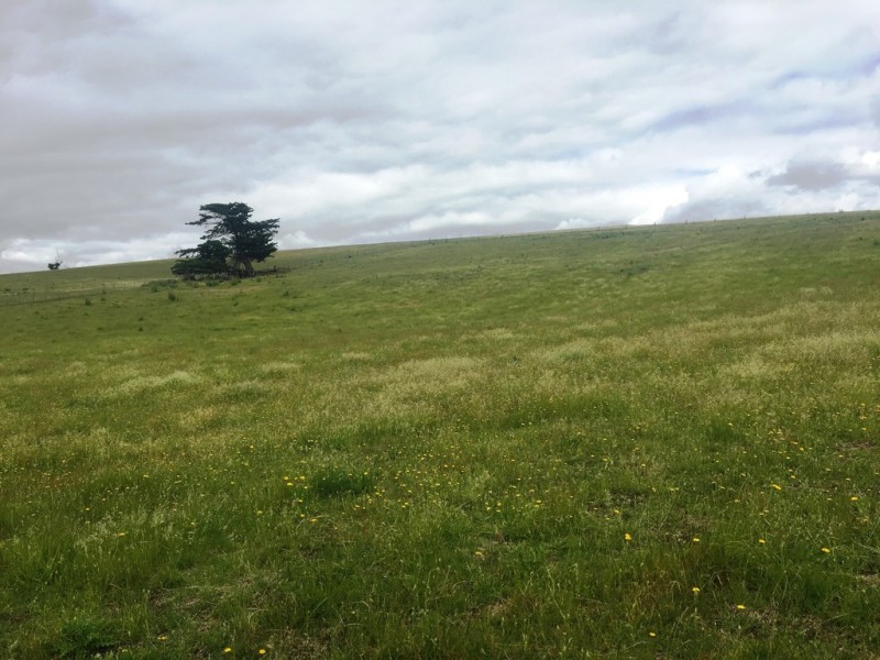 157 Weavers Lane, Campania TAS 7026