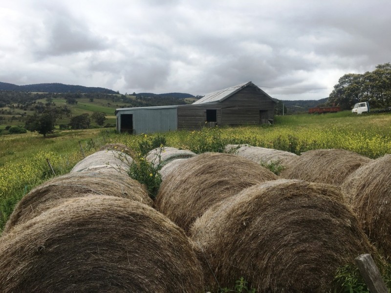 157 Weavers Lane, Campania TAS 7026