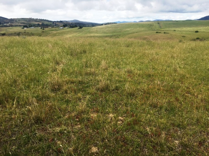 157 Weavers Lane, Campania TAS 7026