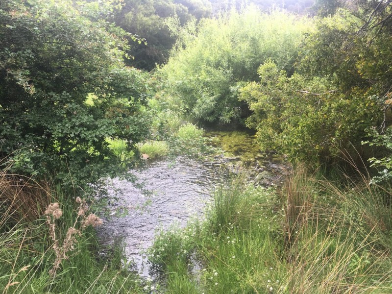 157 Weavers Lane, Campania TAS 7026