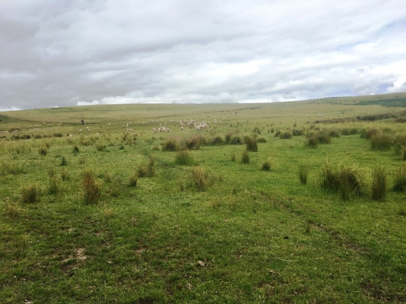 157 Weavers Lane, Campania TAS 7026