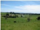 1767 Murchison Highway, Yolla TAS 7325