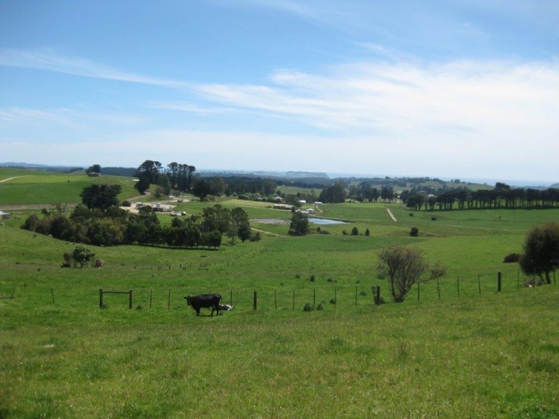 1767 Murchison Highway, Yolla TAS 7325