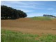 1767 Murchison Highway, Yolla TAS 7325