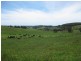 1767 Murchison Highway, Yolla TAS 7325