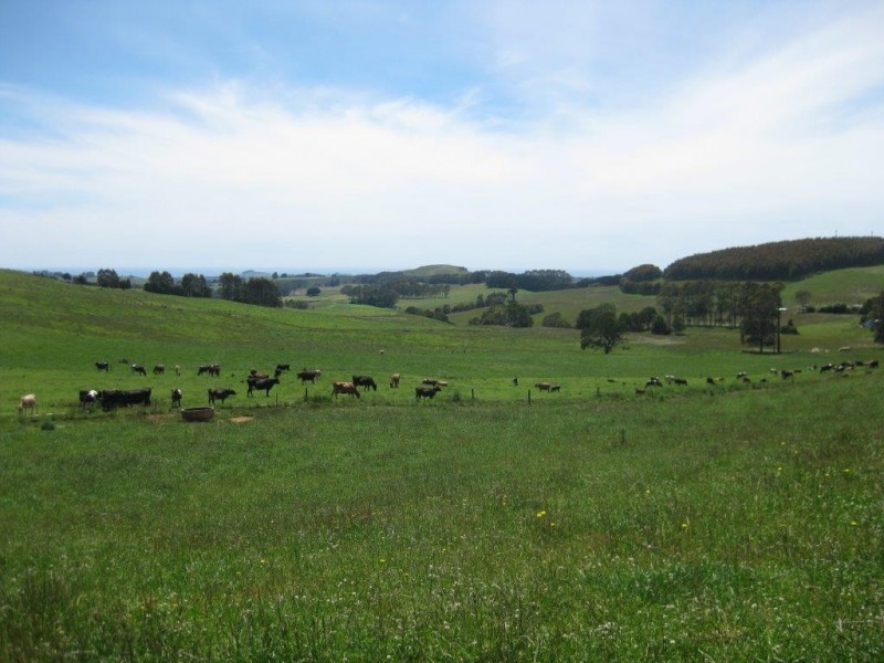 1767 Murchison Highway, Yolla TAS 7325