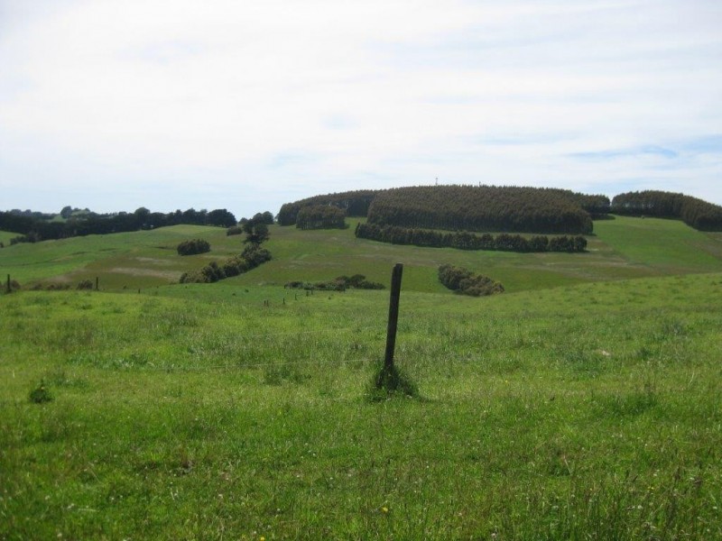 1767 Murchison Highway, Yolla TAS 7325
