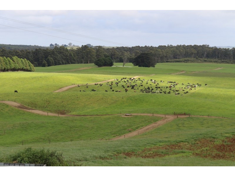 145 Taylors Road, Mount Hicks TAS 7325