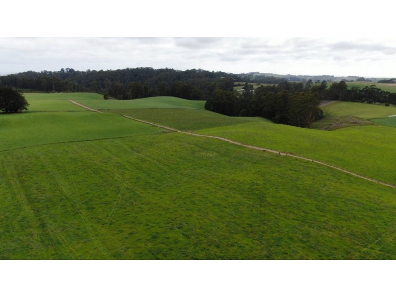 145 Taylors Road, Mount Hicks TAS 7325