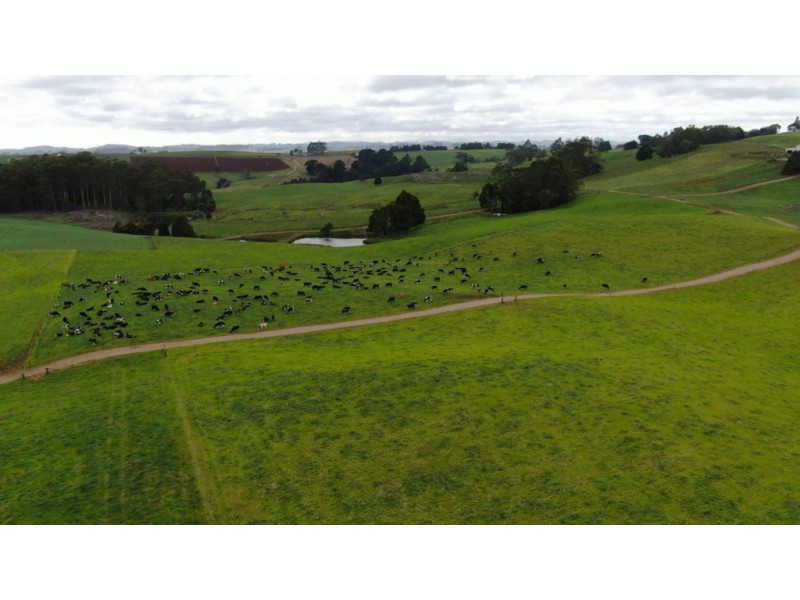 145 Taylors Road, Mount Hicks TAS 7325