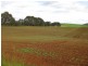 223 Montumana Road, Rocky Cape TAS 7321
