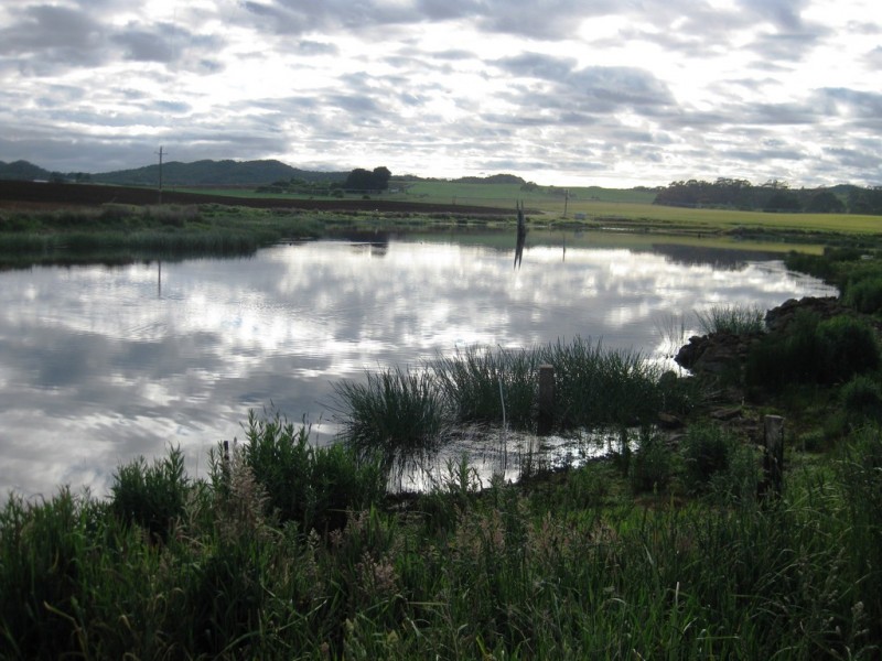 223 Montumana Road, Rocky Cape TAS 7321