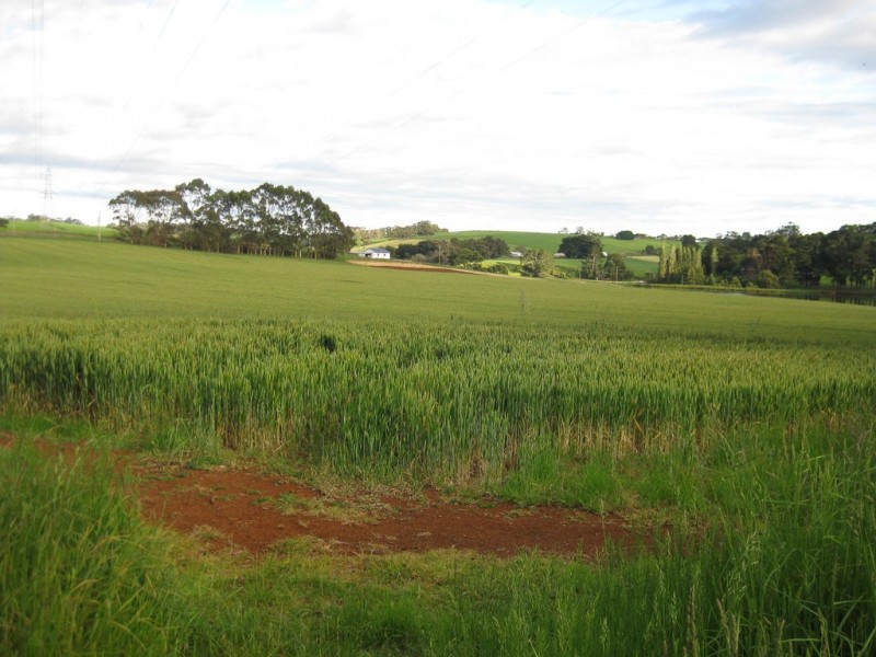 223 Montumana Road, Rocky Cape TAS 7321