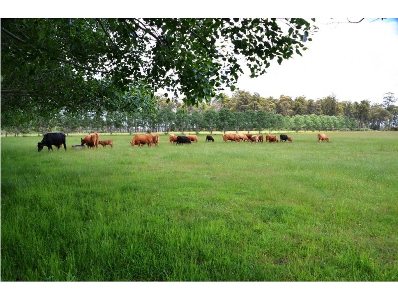 1312 Oaks Road, Bracknell TAS 7302