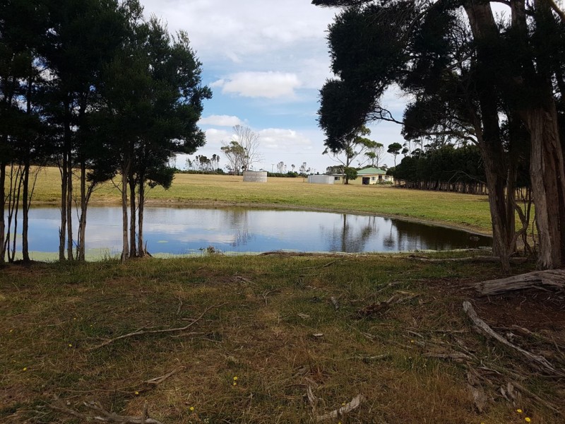 91 Dickers Road, Reekara TAS 7256