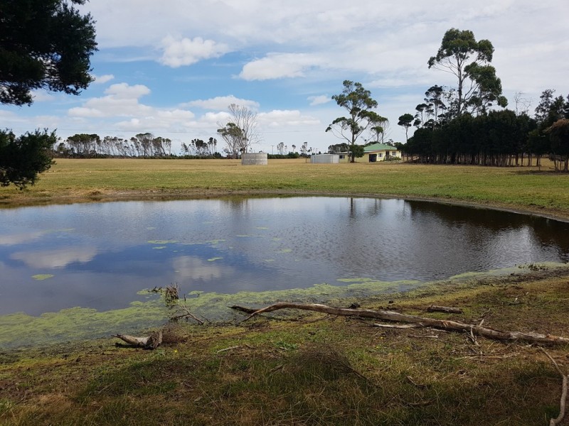 91 Dickers Road, Reekara TAS 7256