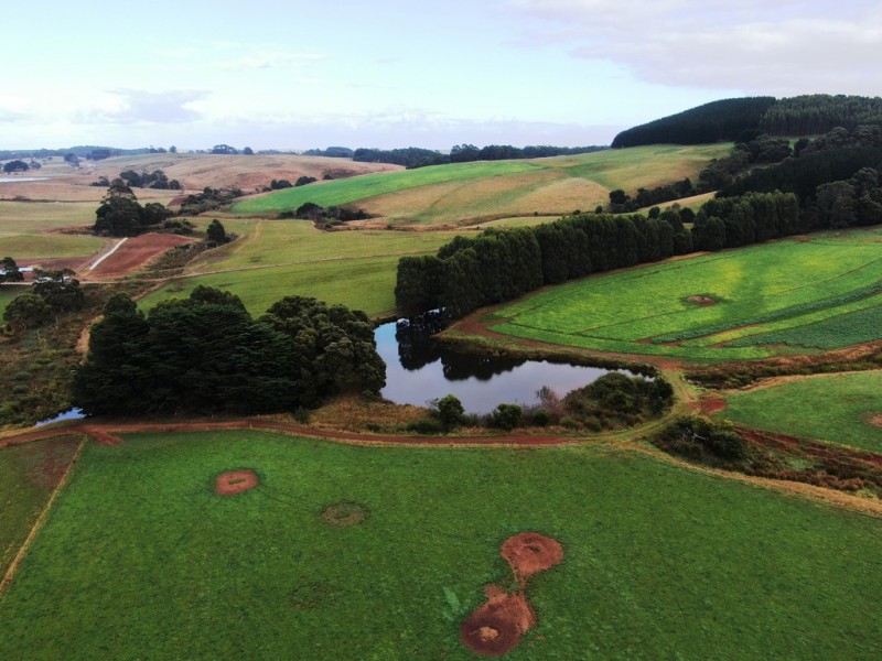 . South, Moores and Hursts Road, Nabageena TAS 7330