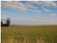 . South, Moores and Hursts Road, Nabageena TAS 7330