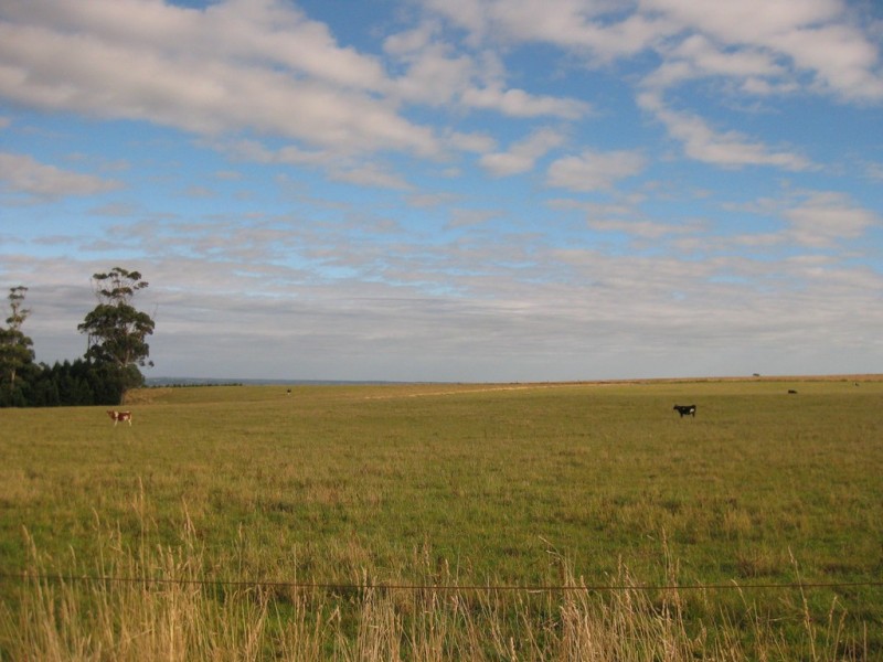 . South, Moores and Hursts Road, Nabageena TAS 7330