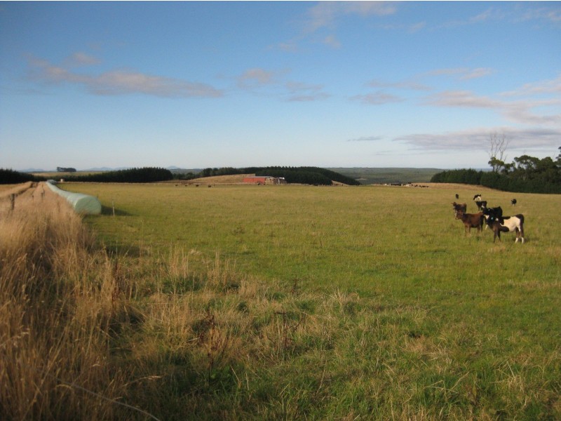 . South, Moores and Hursts Road, Nabageena TAS 7330