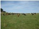 1353 and 1408 Oldina Road, Oldina TAS 7325