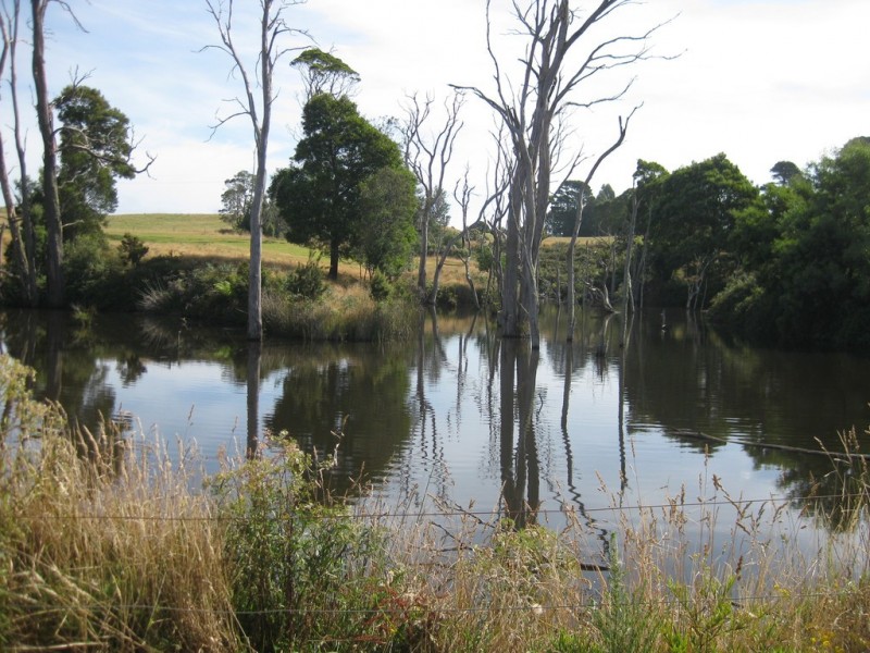 1353 and 1408 Oldina Road, Oldina TAS 7325