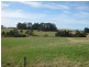 1353 and 1408 Oldina Road, Oldina TAS 7325