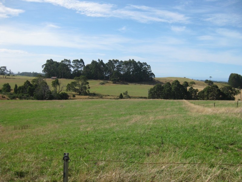 1353 and 1408 Oldina Road, Oldina TAS 7325