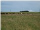 1353 and 1408 Oldina Road, Oldina TAS 7325
