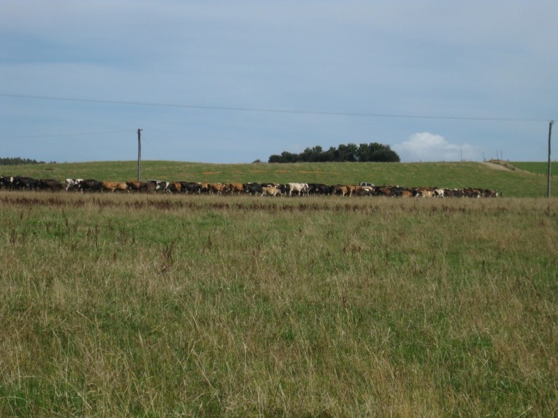 1353 and 1408 Oldina Road, Oldina TAS 7325