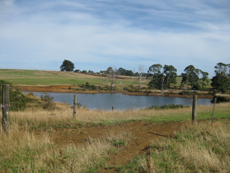 1353 and 1408 Oldina Road, Oldina TAS 7325