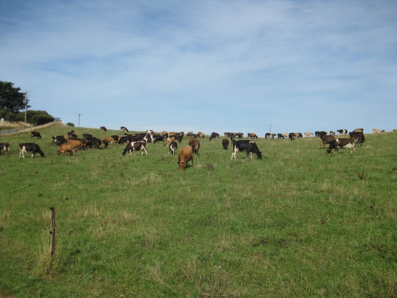 1353 and 1408 Oldina Road, Oldina TAS 7325