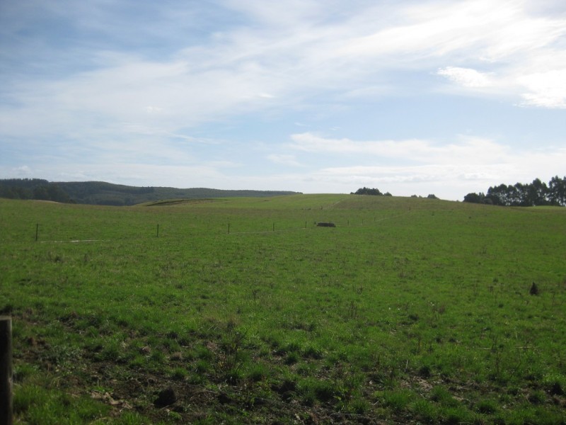 1353 and 1408 Oldina Road, Oldina TAS 7325
