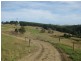 1353 and 1408 Oldina Road, Oldina TAS 7325