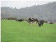 14439 Highland Lakes Road, Deloraine TAS 7304