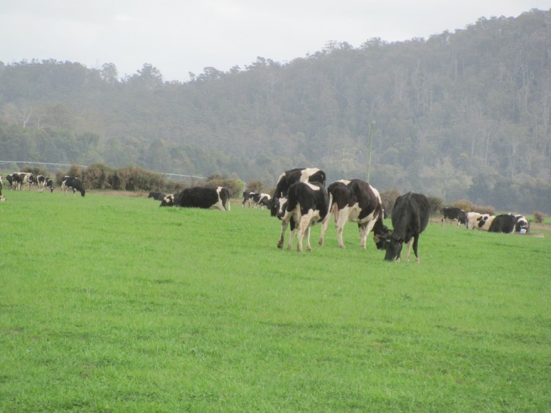 14439 Highland Lakes Road, Deloraine TAS 7304